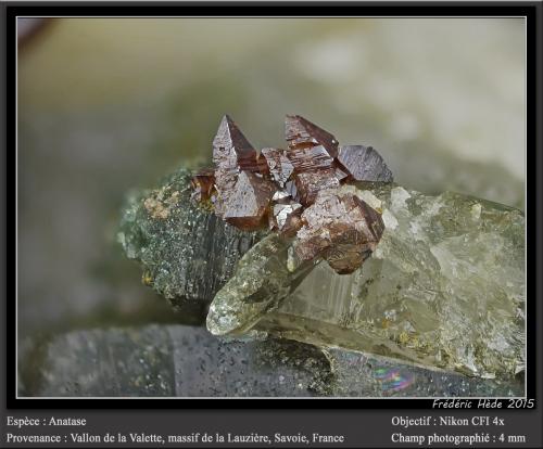 Anatase on Quartz<br />Vallon de la Valette, Macizo La Lauzière, Saint-Jean-de-Maurienne, Saboya, Auvergne-Rhône-Alpes, Francia<br />fov 4 mm<br /> (Author: ploum)
