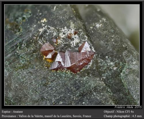 Anatase on Quartz<br />Vallon de la Valette, Macizo La Lauzière, Saint-Jean-de-Maurienne, Saboya, Auvergne-Rhône-Alpes, Francia<br />fov 4.5 mm<br /> (Author: ploum)