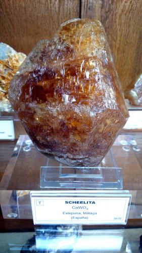 Scheelita<br />Conchita Mine, Puerto del Lentisco-Arroyo Bosquecillo, Estepona, Comarca Costa del Sol Occidental, Málaga, Andalusia, Spain<br />11 x 8 x 7 cm.<br /> (Autor: Ramón Jiménez)