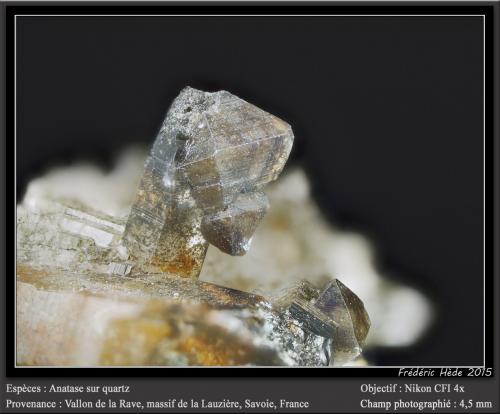 Anatase on Quartz<br />Vallon de la Rave, Macizo La Lauzière, Saint-Jean-de-Maurienne, Saboya, Auvergne-Rhône-Alpes, Francia<br />fov 4.5 mm<br /> (Author: ploum)
