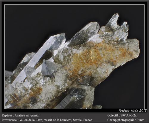 Anatase on Quartz<br />Vallon de la Rave, Macizo La Lauzière, Saint-Jean-de-Maurienne, Saboya, Auvergne-Rhône-Alpes, Francia<br />fov 9 mm<br /> (Author: ploum)