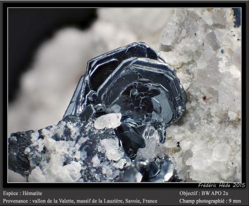 Hematite<br />Vallon de la Valette, La Lauzière Massif, Saint-Jean-de-Maurienne, Savoie, Auvergne-Rhône-Alpes, France<br />fov 9 mm<br /> (Author: ploum)