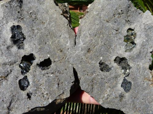 Cuarzo (variedad herkimer)<br />Condado Herkimer, New York, USA<br />Marco de la foto :20x24 cm<br /> (Autor: nerofis2)