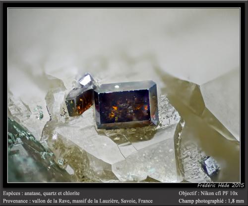 Anatase on Quartz with Chlorite<br />Vallon de la Rave, La Lauzière Massif, Saint-Jean-de-Maurienne, Savoie, Auvergne-Rhône-Alpes, France<br />fov 1.8 mm<br /> (Author: ploum)