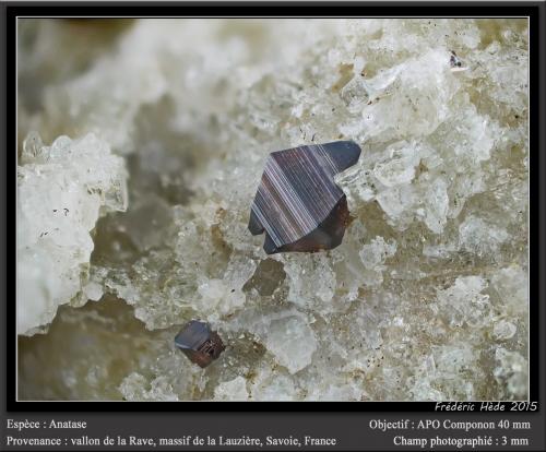 Anatase on Quartz<br />Vallon de la Rave, Macizo La Lauzière, Saint-Jean-de-Maurienne, Saboya, Auvergne-Rhône-Alpes, Francia<br />fov 3 mm<br /> (Author: ploum)