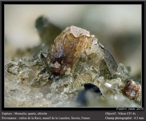 Monazite, Quartz and Chlorite<br />Vallon de la Rave, Macizo La Lauzière, Saint-Jean-de-Maurienne, Saboya, Auvergne-Rhône-Alpes, Francia<br />fov 4.5 mm<br /> (Author: ploum)