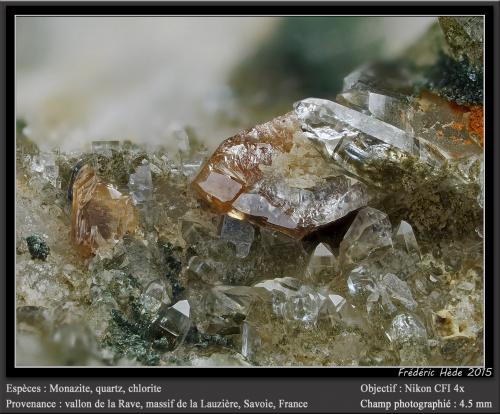 Monazite, Quartz and Chlorite<br />Vallon de la Rave, La Lauzière Massif, Saint-Jean-de-Maurienne, Savoie, Auvergne-Rhône-Alpes, France<br />fov 4.5 mm<br /> (Author: ploum)