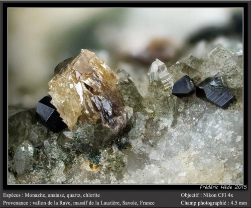 Monazite, Anatase, Quartz and Chlorite<br />Vallon de la Rave, La Lauzière Massif, Saint-Jean-de-Maurienne, Savoie, Auvergne-Rhône-Alpes, France<br />fov 4.5 mm<br /> (Author: ploum)