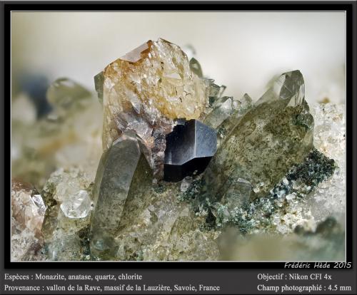 Monazite, Anatase, Quartz and Chlorite<br />Vallon de la Rave, La Lauzière Massif, Saint-Jean-de-Maurienne, Savoie, Auvergne-Rhône-Alpes, France<br />fov 4.5 mm<br /> (Author: ploum)