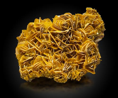Wulfenite<br />Glove Mine, Glove Mine group, Devil's Cash Box Ridge, Cottonwood Canyon, Amado, Tyndall District, Santa Cruz County, Arizona, USA<br />21,0 	x	19,0	x	14,5	cm<br /> (Author: MIM Museum)