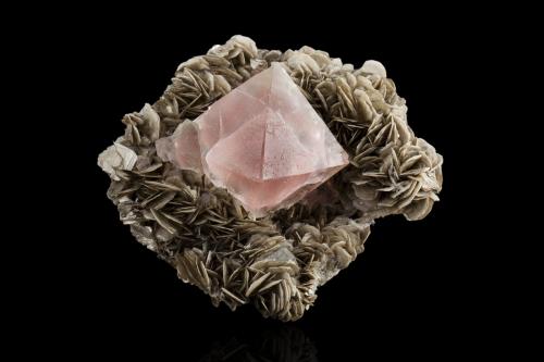 Fluorite on Muscovite<br />Chumar Bakhoor, Hunza Valley, Nagar District, Gilgit-Baltistan (Northern Areas), Pakistan<br />14,0 	x	12,0	x	9,0	cm<br /> (Author: MIM Museum)