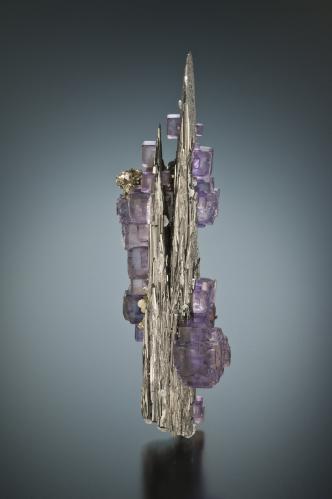 Fluorite on Ferberite<br />Minas da Panasqueira, Aldeia de São Francisco de Assis, Covilhã, Castelo Branco, Cova da Beira, Centro, Portugal<br />7x1,5 cm.<br /> (Author: Enrique Llorens)