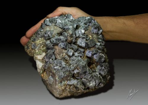 Galena<br />Pomorzany Mine, Olkusz, Olkusz District, Małopolskie, Poland<br />160 X 20 mm. Peso 4782 g<br /> (Autor: Manuel Mesa)