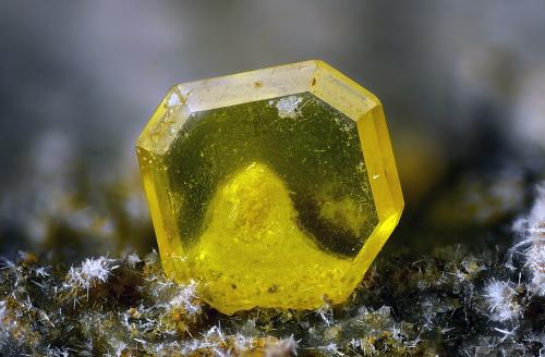 Wulfenita<br />Los Lastonares Mines, Albuñuelas, Comarca Valle de Lecrín, Granada, Andalusia, Spain<br />Campo de visión 2 mm.<br /> (Autor: Juan Miguel)