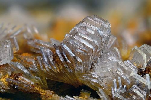 Hemimorfita<br />Barranco de los Lobos, La Peza, Comarca Guadix, Granada, Andalucía, España<br />Campo de visión 6 mm.<br /> (Autor: Juan Miguel)