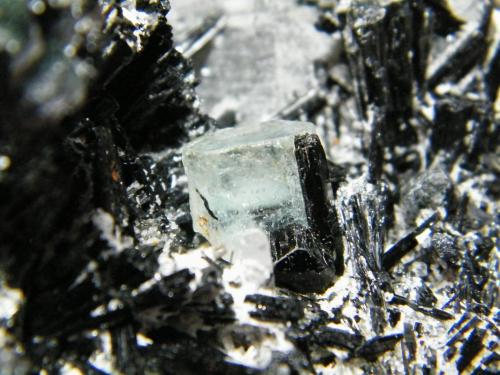 Schorl and Beryl (variety aquamarine)<br />Erongo Mountain, Usakos, Erongo Region, Namibia<br />200x130x120mm<br /> (Author: Heimo Hellwig)