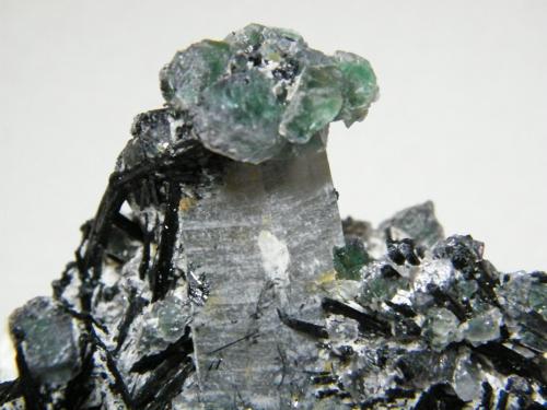 Schorl, Quartz and Fluorite<br />Monte Erongo, Usakos, Región Erongo, Namibia<br />200x130x120mm<br /> (Author: Heimo Hellwig)