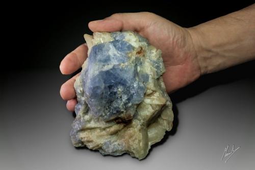Sodalita (variedad hackmanita)<br />Ladjuar Medam, Sar-e Sang, Koksha Valley, Khash & Kuran Wa Munjan Districts, Badakhshan Province, Afghanistan<br />122 x 103 mm. Cristal de 80 mm<br /> (Autor: Manuel Mesa)