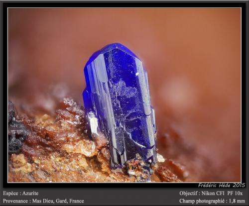 Azurite<br />Mas Dieu, Mercoirol, Alès, Gard, Occitanie, France<br />fov 1.8 mm<br /> (Author: ploum)