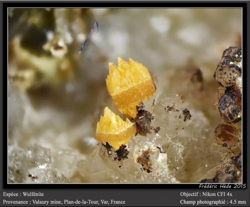 Wulfenite<br />Mina Valaury, Plan-de-la-Tour, Draguignan, Var, Provence-Alpes-Côte d'Azur, Francia<br />fov 4.5 mm<br /> (Author: ploum)