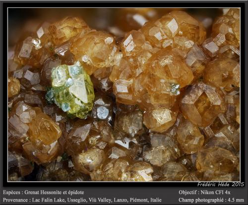 Grossular variety hessonite (Garnet Group) and Epidote<br />Falin Lake, Usseglio, Val di Viù / Viù Valley, Lanzo Valleys (Valli di Lanzo), Metropolitan City of Turin Province, Piedmont (Piemonte), Italy<br />fov 4.5 mm<br /> (Author: ploum)