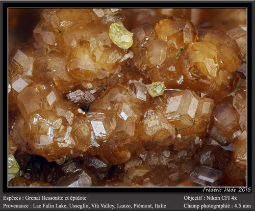 Grossular variety hessonite (Garnet Group)<br />Falin Lake, Usseglio, Val di Viù / Viù Valley, Lanzo Valleys (Valli di Lanzo), Metropolitan City of Turin Province, Piedmont (Piemonte), Italy<br />fov 4.5 mm<br /> (Author: ploum)