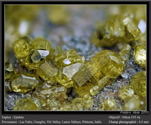 Epidote<br />Lago Falin, Usseglio, Val di Viù / Valle Viù, Valles Lanzo (Valli di Lanzo), Provincia Ciudad metropolitana de Turín, Piamonte (Piemonte), Italia<br />fov 4.5 mm<br /> (Author: ploum)