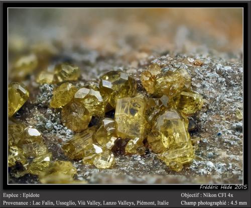 Epidote<br />Falin Lake, Usseglio, Val di Viù / Viù Valley, Lanzo Valleys (Valli di Lanzo), Metropolitan City of Turin Province, Piedmont (Piemonte), Italy<br />Fov 4.5 mm<br /> (Author: ploum)