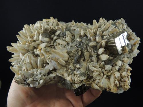 Pirita y Cuarzo<br />Zimapán mining District, Municipio Zimapán, Hidalgo, Mexico<br />19 x 15 x 8 centimetros<br /> (Autor: Ricardo Melendez)