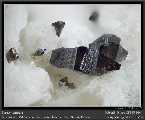 Anatase<br />Vallon de la Rave, Macizo La Lauzière, Saint-Jean-de-Maurienne, Saboya, Auvergne-Rhône-Alpes, Francia<br />fov 1.8 mm<br /> (Author: ploum)