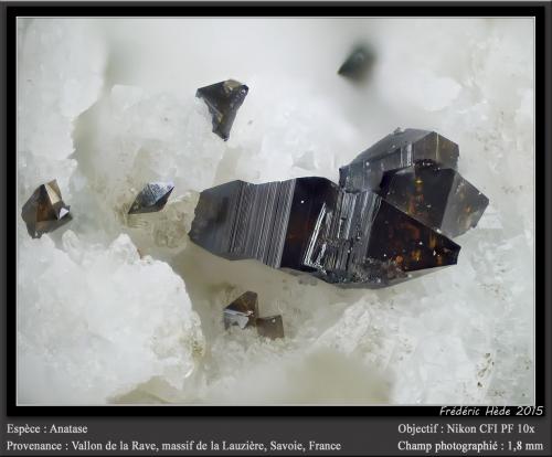 Anatase<br />Vallon de la Rave, La Lauzière Massif, Saint-Jean-de-Maurienne, Savoie, Auvergne-Rhône-Alpes, France<br />fov 1.8 mm<br /> (Author: ploum)