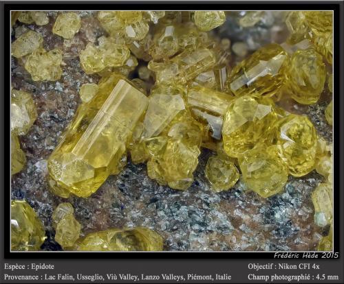 Epidote<br />Falin Lake, Usseglio, Val di Viù / Viù Valley, Lanzo Valleys (Valli di Lanzo), Metropolitan City of Turin Province, Piedmont (Piemonte), Italy<br />fov 4.5 mm<br /> (Author: ploum)