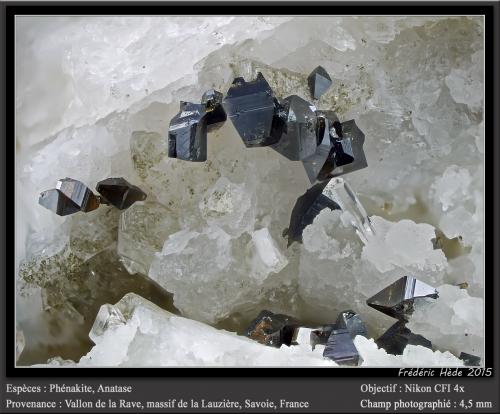 Phenakite and Anatase<br />Vallon de la Rave, Macizo La Lauzière, Saint-Jean-de-Maurienne, Saboya, Auvergne-Rhône-Alpes, Francia<br />fov 4.5 mm<br /> (Author: ploum)