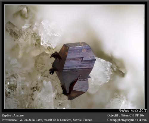 Anatase<br />Vallon de la Rave, La Lauzière Massif, Saint-Jean-de-Maurienne, Savoie, Auvergne-Rhône-Alpes, France<br />fov 1.8 mm<br /> (Author: ploum)