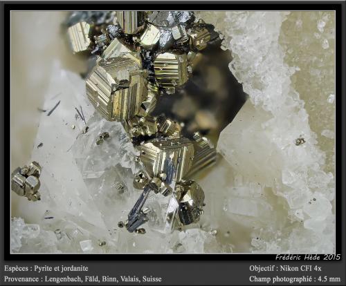Pyrite and Jordanite<br />Lengenbach Quarry, Fäld, Binn Valley (Binntal), Wallis (Valais), Switzerland<br />fov 4.5 mm<br /> (Author: ploum)