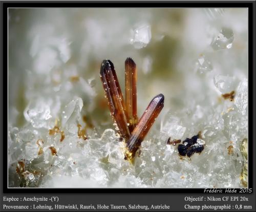 Aeschynite-(Y)<br />Lohning Quarry (Lohninger Quarry), Hüttwinkl Valley, Rauris Valley, Zell am See District, Hohe Tauern, Salzburg, Austria<br />fov 0.8 mm<br /> (Author: ploum)