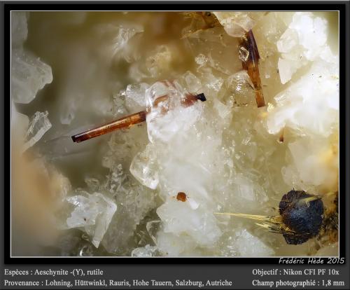 Aeschynite-(Y)<br />Lohning Quarry (Lohninger Quarry), Hüttwinkl Valley, Rauris Valley, Zell am See District, Hohe Tauern, Salzburg, Austria<br />fov 1.8 mm<br /> (Author: ploum)