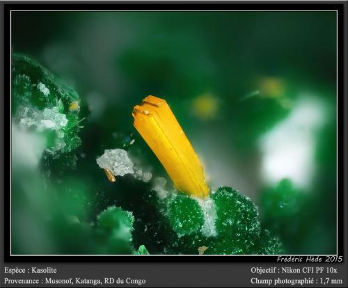 Kasolite<br />Musonoi Mine, Kolwezi, Kolwezi District, Lualaba, Katanga Copper Crescent, Katanga (Shaba), Democratic Republic of the Congo (Zaire)<br />fov 1.7 mm<br /> (Author: ploum)