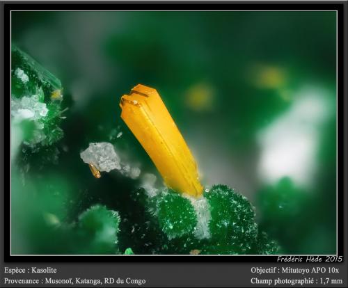 Kasolite<br />Musonoi Mine, Kolwezi, Kolwezi District, Lualaba, Katanga Copper Crescent, Katanga (Shaba), Democratic Republic of the Congo (Zaire)<br />fov 1.7 mm<br /> (Author: ploum)