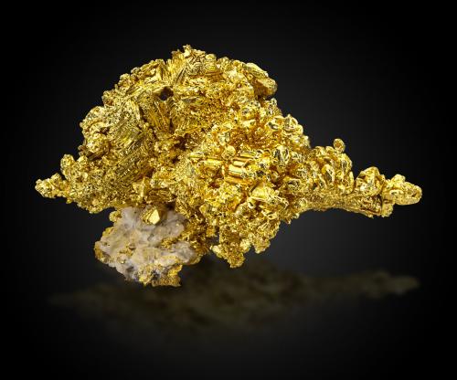 Gold on Quartz<br />Mockingbird Mine, Colorado area, Whitlock District, Mother Lode Belt, Mariposa County, California, USA<br />13,0 	x	8,0	x	9,0	cm<br /> (Author: MIM Museum)