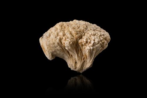 Kainosite<br />Mount Malosa, Zomba District, Malawi<br />2,5	x	2,5	x	2,5	cm<br /> (Author: MIM Museum)