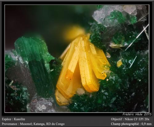 Kasolite with Torbernite<br />Musonoi Mine, Kolwezi, Kolwezi District, Lualaba, Katanga Copper Crescent, Katanga (Shaba), Democratic Republic of the Congo (Zaire)<br />fov 0.9 mm<br /> (Author: ploum)
