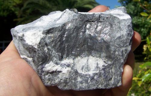 Grafito<br />Yanci Quarry, Unanue, Igantzi (Yanci), Comarca Cinco Villas, Chartered Community of Navarre (Navarre), Spain<br />12 x 10 cm.<br /> (Autor: canada)