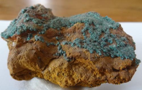 Rosasite<br />Ojuela Mine, Mapimí, Municipio Mapimí, Durango, Mexico<br />7x5x3,5cm<br /> (Author: Dave van Bladel)