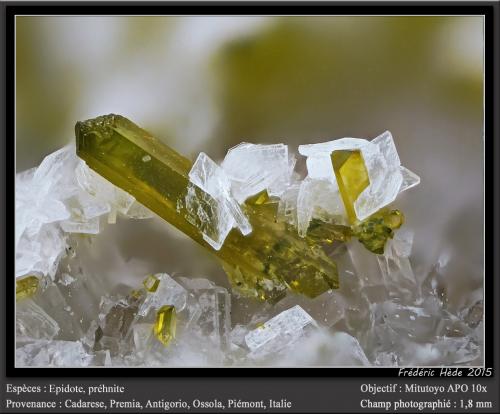 Epidote, Prehnite<br />Cadarese Quarries, Premia gneiss Quarries, Premia, Antigorio Valley, Ossola Valley, Verbano-Cusio-Ossola Province, Piedmont (Piemonte), Italy<br />fov 1.8 mm<br /> (Author: ploum)