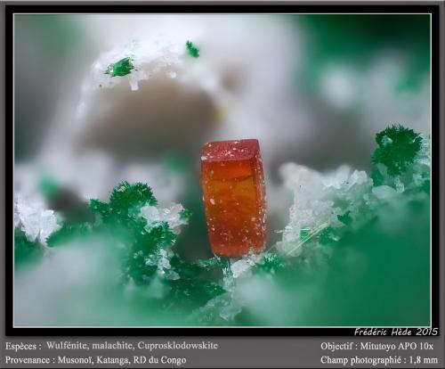 Wulfenite, Malachite and Cuprosklodowskite<br />Musonoi Mine, Kolwezi, Kolwezi District, Lualaba, Katanga Copper Crescent, Katanga (Shaba), Democratic Republic of the Congo (Zaire)<br />fov 1.8 mm<br /> (Author: ploum)