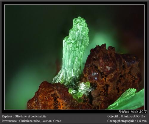 Olivenite and Conichalcite<br />Mina Christiana, Minas Kamariza, Agios Konstantinos, Distrito minero Lavrion, Prefectura Attikí (Attica), Grecia<br />fov 1.6 mm<br /> (Author: ploum)