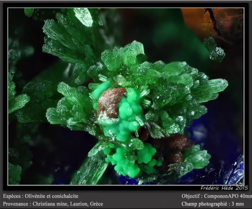 Olivenite and conichalcite<br /><br />fov 3 mm<br /> (Author: ploum)