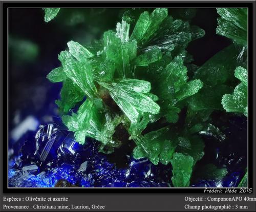 Olivenite and Azurite<br />Christiana Mine, Kamariza Mines, Agios Konstantinos, Lavrion Mining District, Attikí (Attica) Prefecture, Greece<br />fov 3 mm<br /> (Author: ploum)