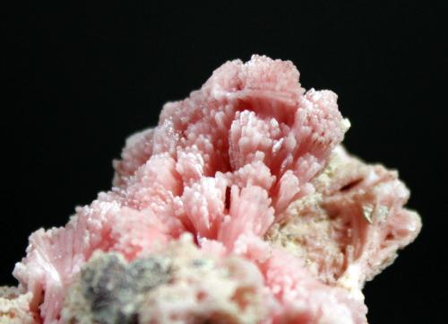 Rhodochrosite<br />Gogebic Range, Condado Iron, Wisconsin, USA<br />6.5 x 4.5 x 4.0 cm<br /> (Author: Don Lum)